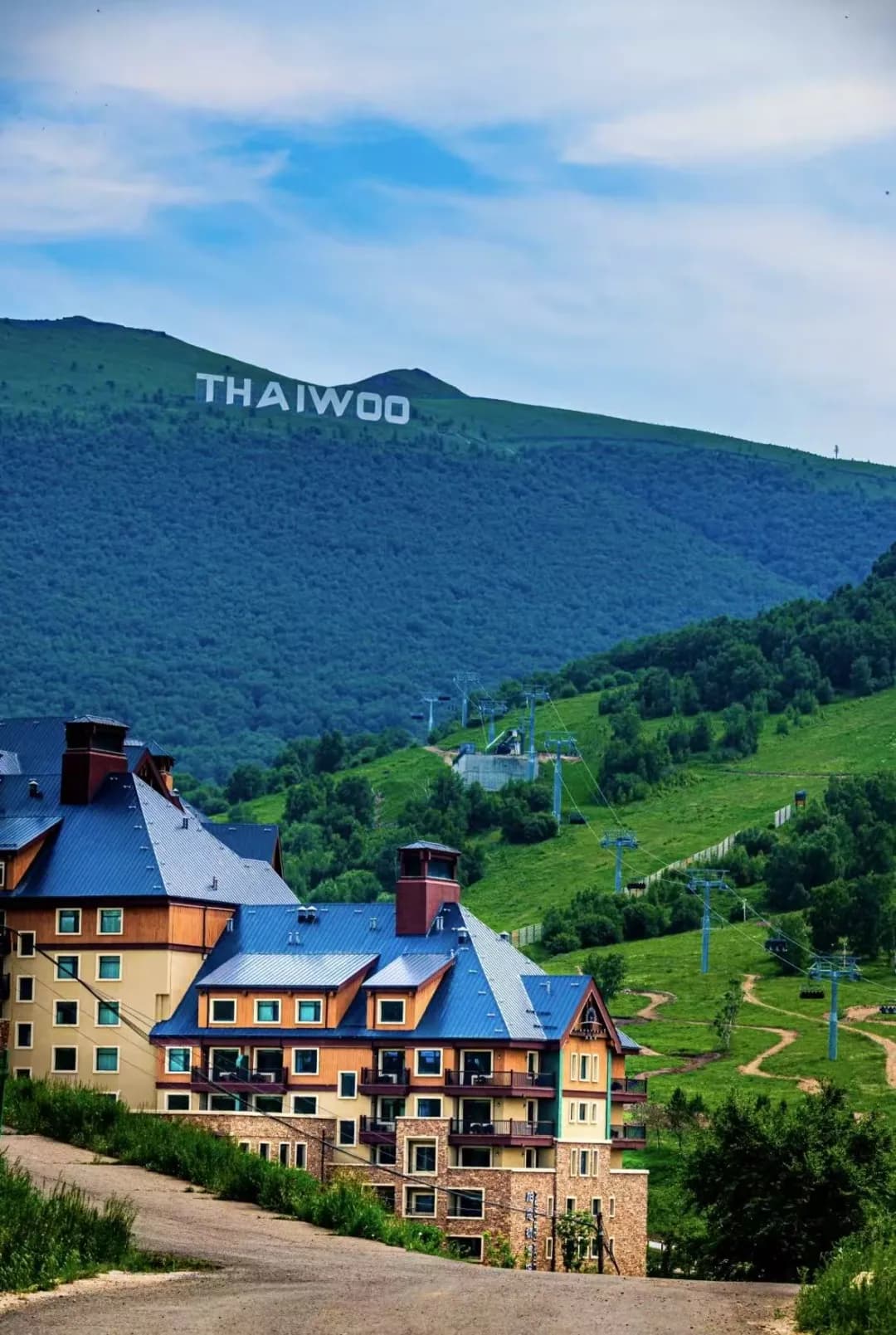 thaiwoo(太舞)