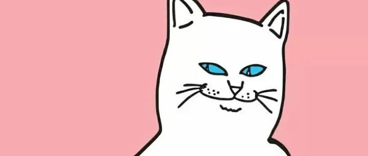 250726 拍了照片给你们看看